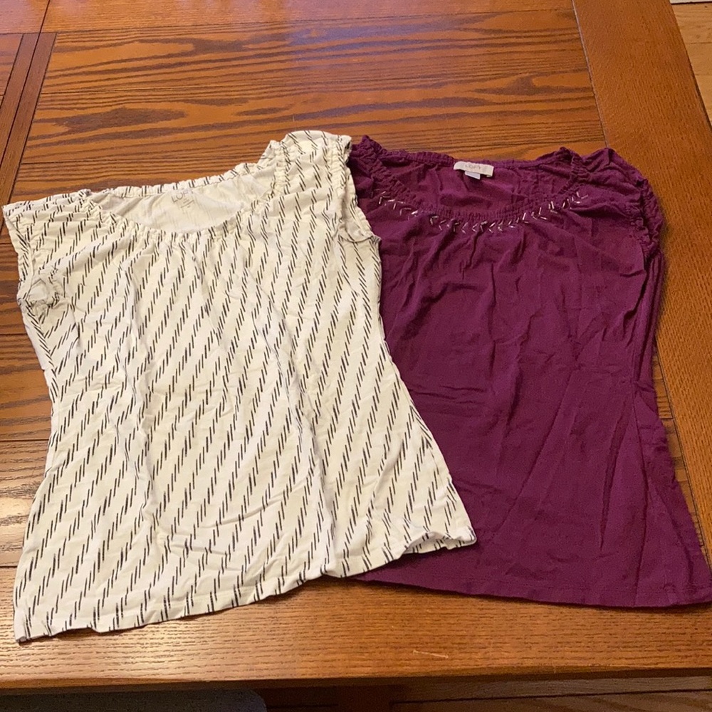 Set of 2 Capped Sleeve Tees